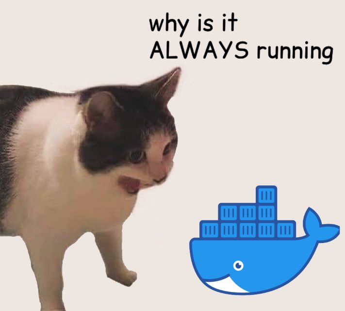 docker安装和使用